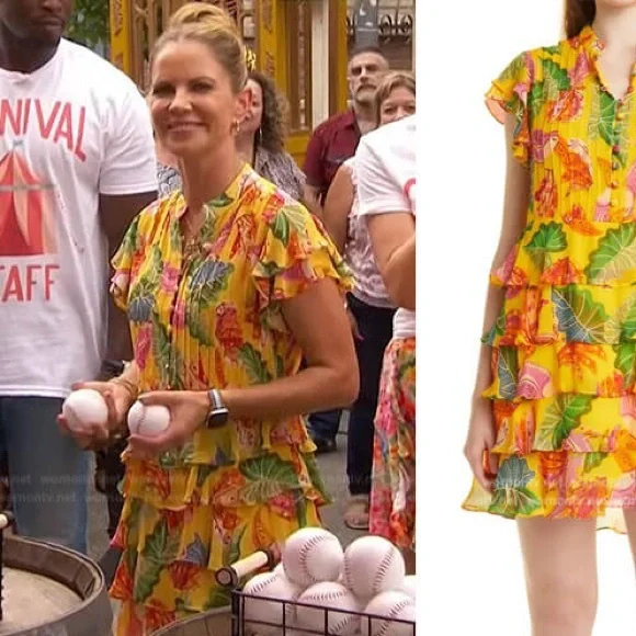 Farm Rio Anthropologie • Tiered Beaks & Bananas Dress • sz Large - Picture 9 of 10